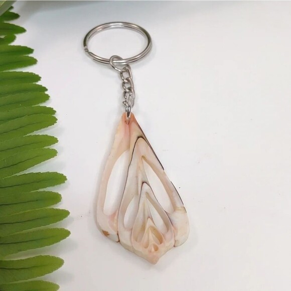 Seashell Keyring Slice Conch Seashell Clearwater Beach, Florida - Picture 5 of 13